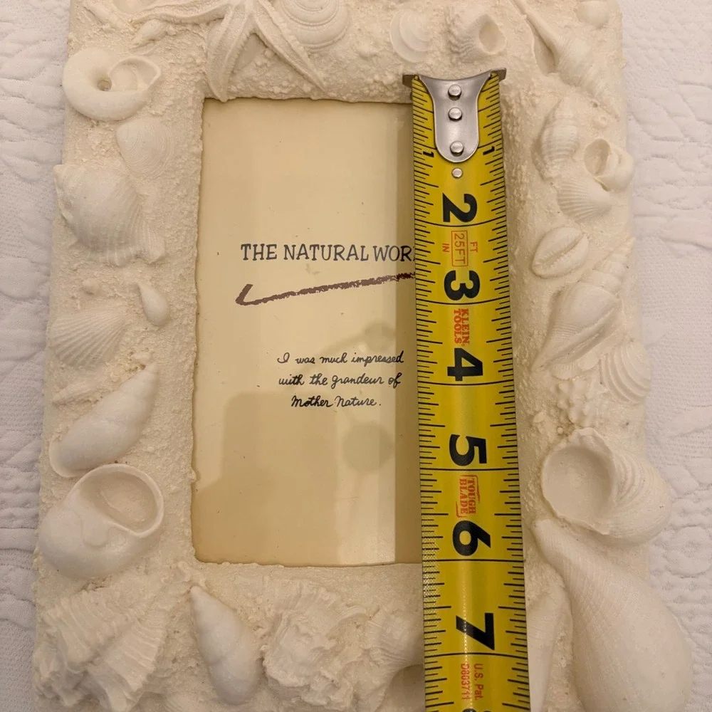 The Natural World Coastal Seashell Picture Frame & 4 Natural Shell Decor Conch